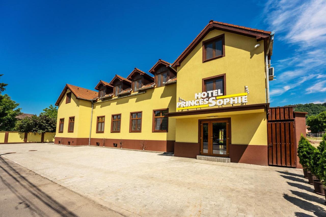 Hotel Princessophie Сигишоара Экстерьер фото