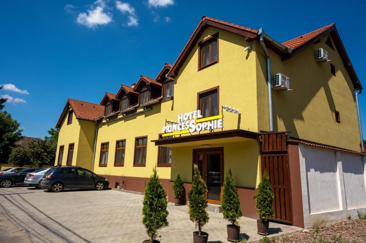 Hotel Princessophie Сигишоара Экстерьер фото