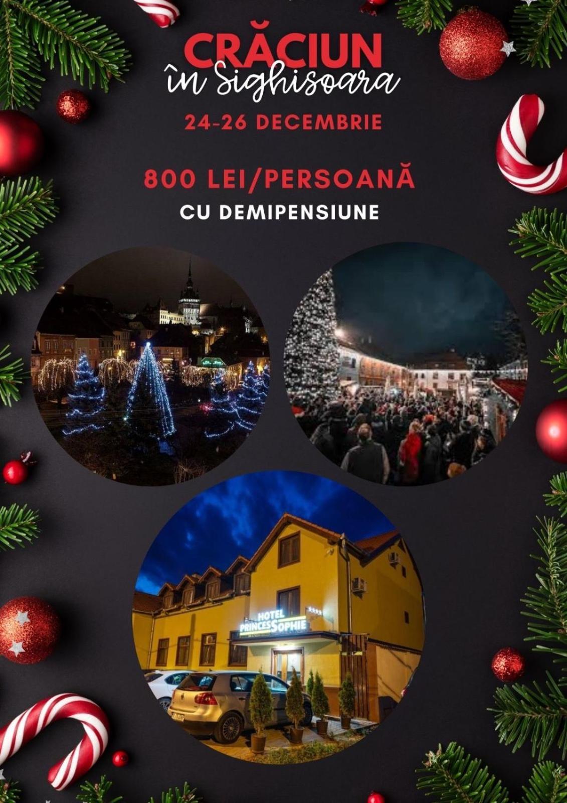 Hotel Princessophie Сигишоара Экстерьер фото